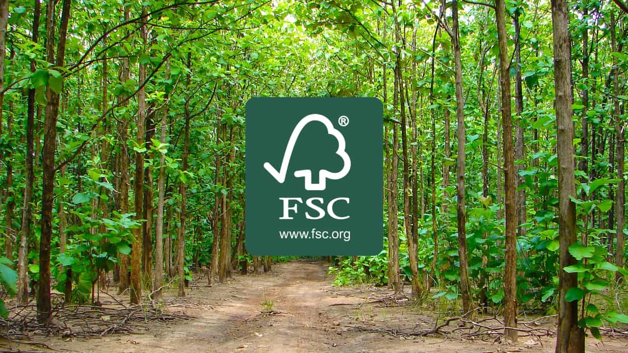 Exploring FSC Certification A Simple Guide for Beginners Adhityo Rachman Hakim